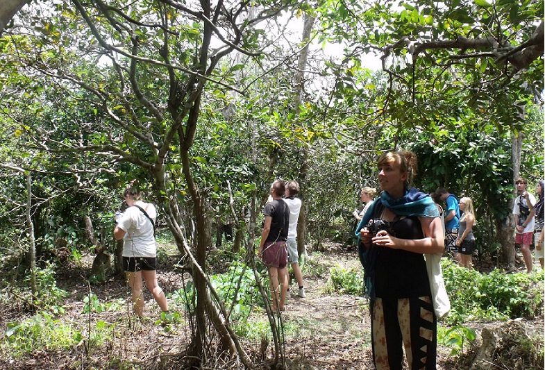 Jozani Forest